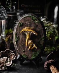 Image 2 of Mushroom Plaque I