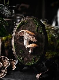 Image 2 of Mushroom Plaque III