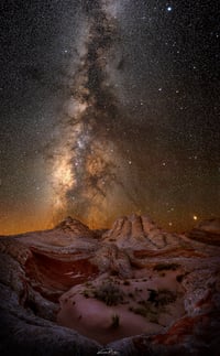 Oasis Nights 