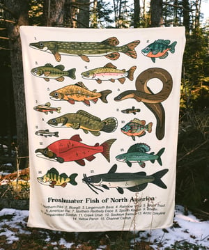 Fish of North America Blanket