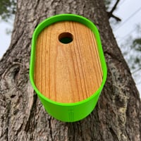 Image 3 of The Pop Green Modern Birdhouse