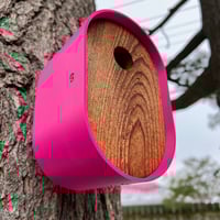 Image 1 of The Pop Pink Modern Birdhouse