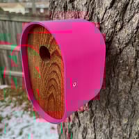 Image 4 of The Pop Pink Modern Birdhouse
