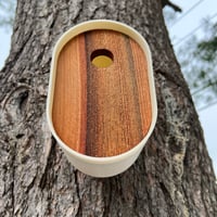 Image 4 of The Modern Ecru Birdhouse