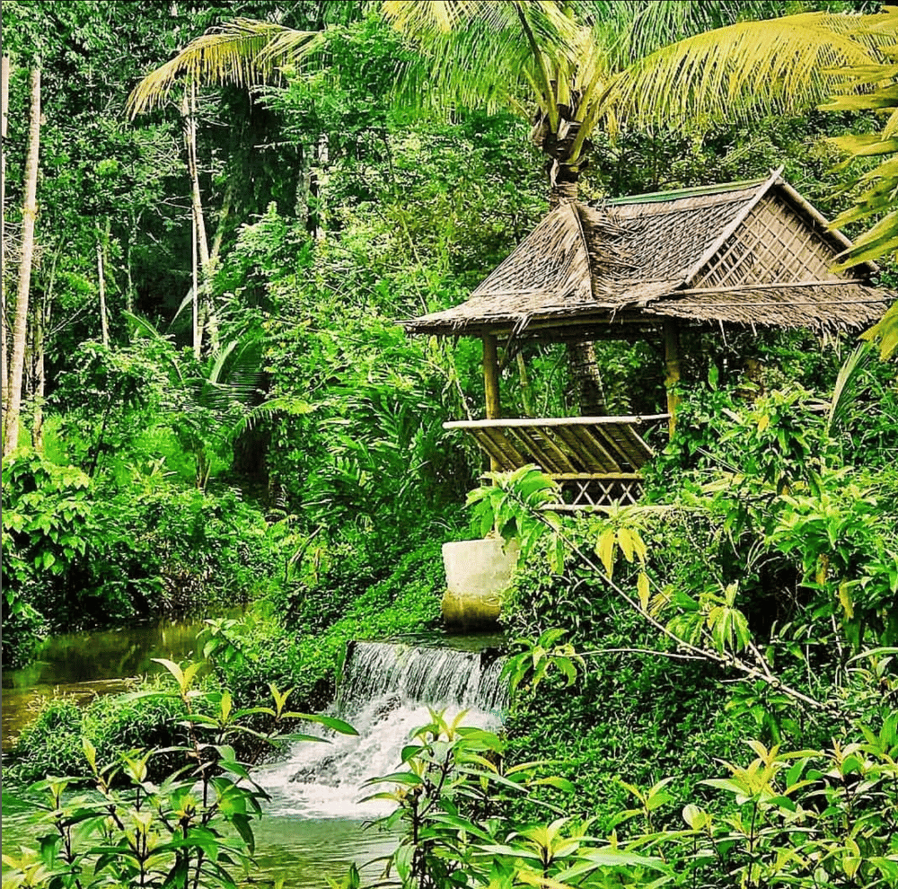 Image of "NOURISH"  Creative Tropical Spa Retreat -Koh Phagnan, Thailand. March 8th - 13th, 2025