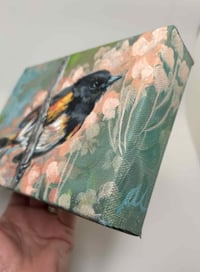 Image 3 of American Redstart – bird migration painting 5x7" canvas