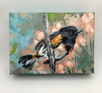 Image 1 of American Redstart – bird migration painting 5x7" canvas