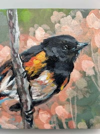 Image 2 of American Redstart – bird migration painting 5x7" canvas