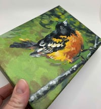 Image 4 of Baltimore Oriole – bird migration painting 5x7" canvas