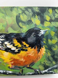 Image 3 of Baltimore Oriole – bird migration painting 5x7" canvas