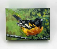 Image 1 of Baltimore Oriole – bird migration painting 5x7" canvas