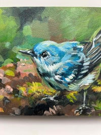 Image 2 of Cerulean Warbler – bird migration painting 5x7" canvas