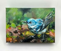 Image 1 of Cerulean Warbler – bird migration painting 5x7" canvas