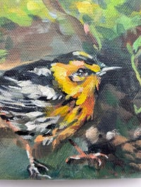 Image 2 of Blackburnian Warbler – bird migration painting 5x7" canvas