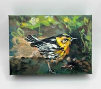 Image 1 of Blackburnian Warbler – bird migration painting 5x7" canvas