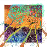 Image 1 of Waking Spring