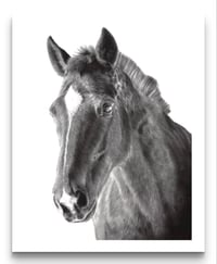 Image 1 of “Tranquility” giclee print 