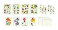 Image 4 of Cavallini & Co. Wildflowers Stationery Set