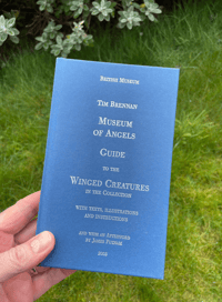 Museum of Angels: Guide to the Winged Creatures in The British Museum