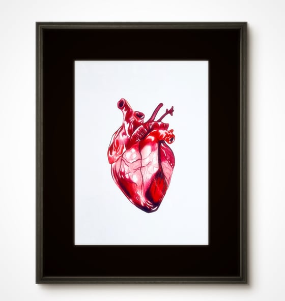 Image of Heart