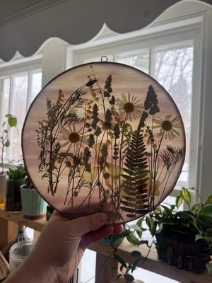 Wildflower field with goldenrod