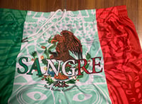 Image 4 of Mexican Sangre Pool Shorts 