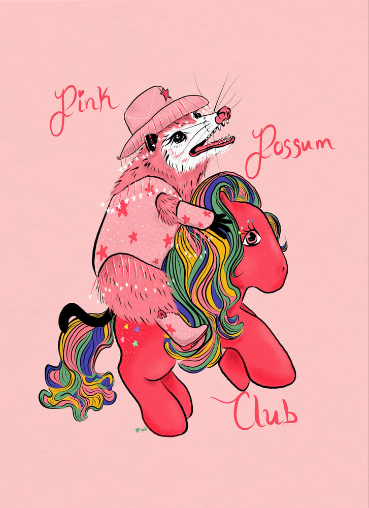 Image of Pink possum club 