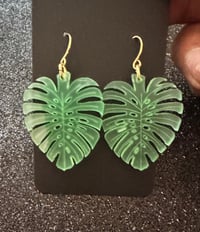 monstera leaf drops