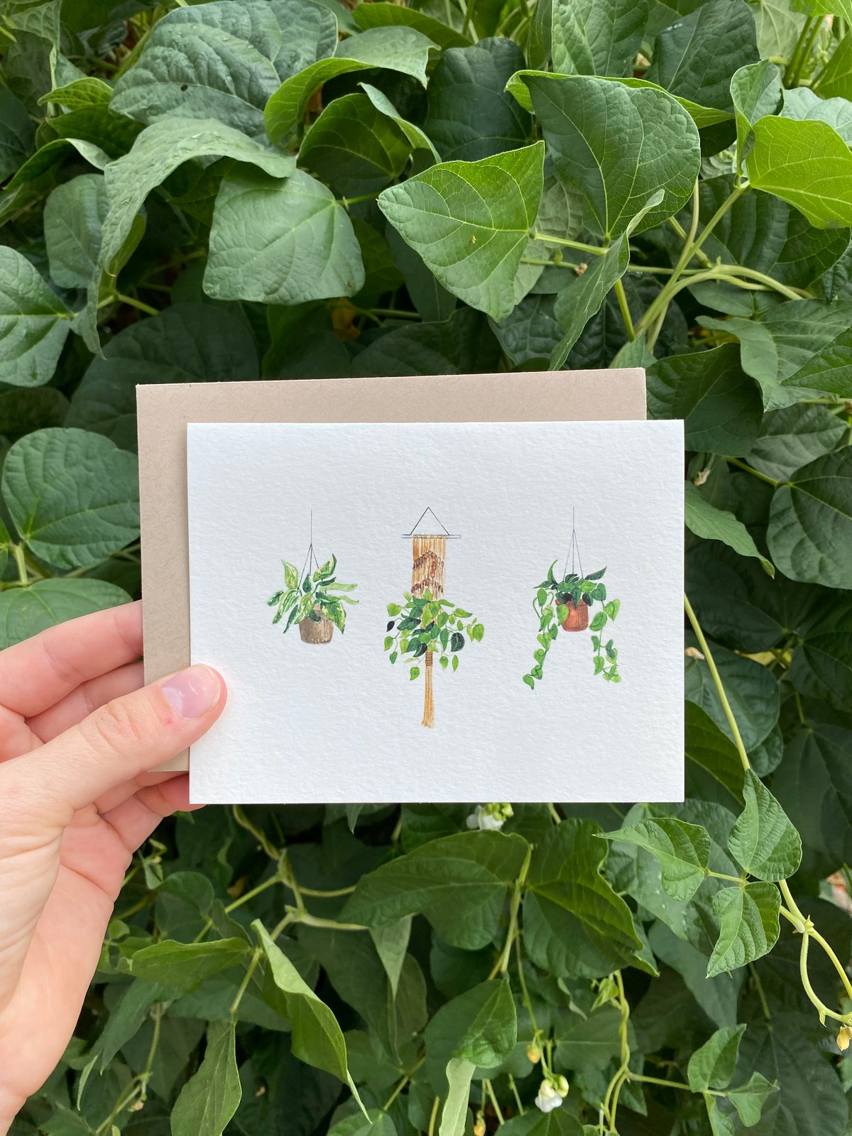 Image of Hanging Plants Greeting Card