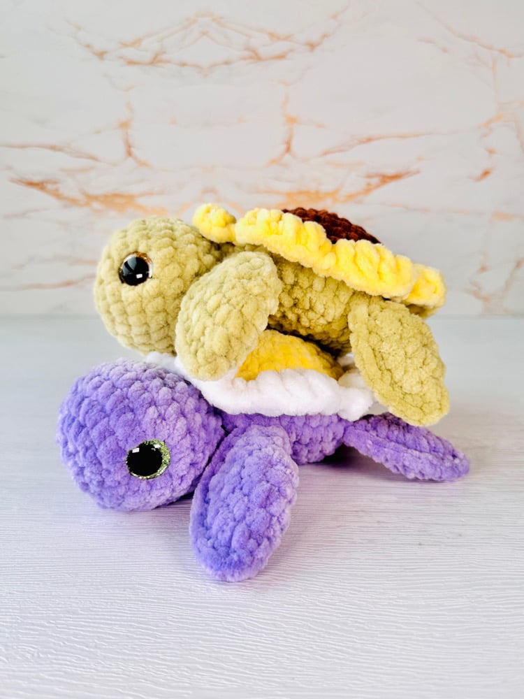 Image of flower turtle preorder