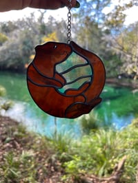 Image 5 of Playful Otter