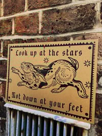 Image 2 of Look up at the stars