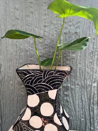 Image 3 of Monstera Deliciosa in Large B & W "Bettlejuice" Pot