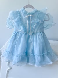 Image 3 of Blue Skies - 2 years 