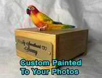 Image 1 of Custom Engraved Sunrise Conure Bird Mini Urn Pet Portrait To Your Photos