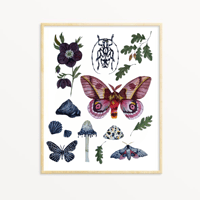 Image 1 of Sagittarius Nature Chart PRINT