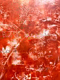 Image 4 of Shelter & Carry- Shanny Brooke