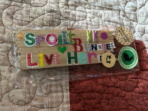 Image of Handmade hanging wooden name/slogan saying sign