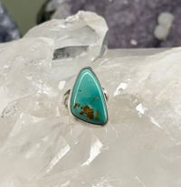 Image 1 of Fox Turquoise Ring size 5.5