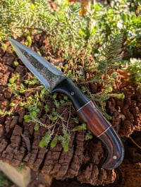 Image 3 of CUSTOM FIGHTER
