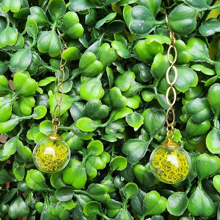 Image of round mossy jar earrings