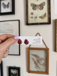 Image 2 of Teardrop Studs
