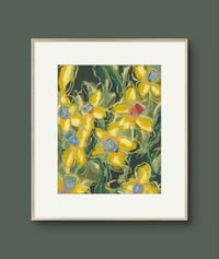 Image 5 of Daffodils (print)