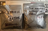 FRENCH(-10): An Error in the Breeding Cycle - “Our Anger is a Protective Force”