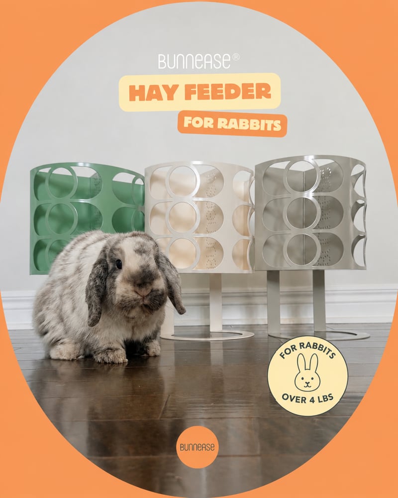 Image of Mrs. CleanHay Ⓓ - High Quality Metal Double Hay Feeder for Rabbits