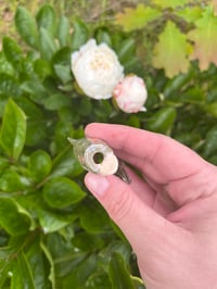 Image 6 of J Holders 