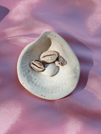 Image 2 of Sea shell trinket dish