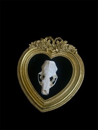 Image 1 of Antique Mink Skull