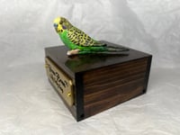 Image 19 of Custom Engraved Budgie Parakeet Handpainted To Your Photos Bird Mini Keepsake Urn Pet Portrait