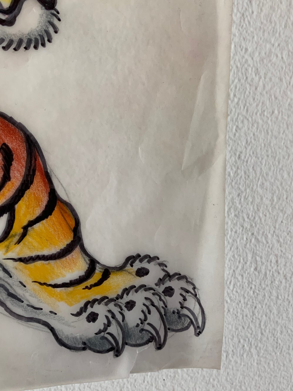 Image of Crawling tiger w rock on tracing paper 